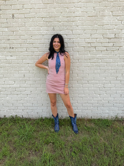 Americana Mini Dress