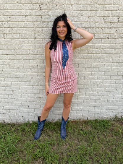 Americana Mini Dress